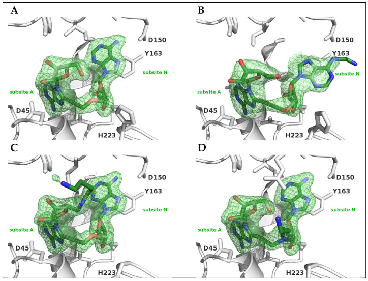 Figure 4