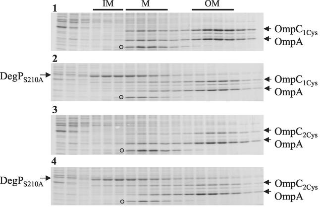 FIG. 5.