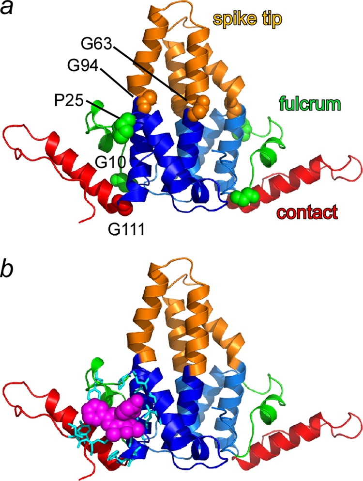 FIG. 3.