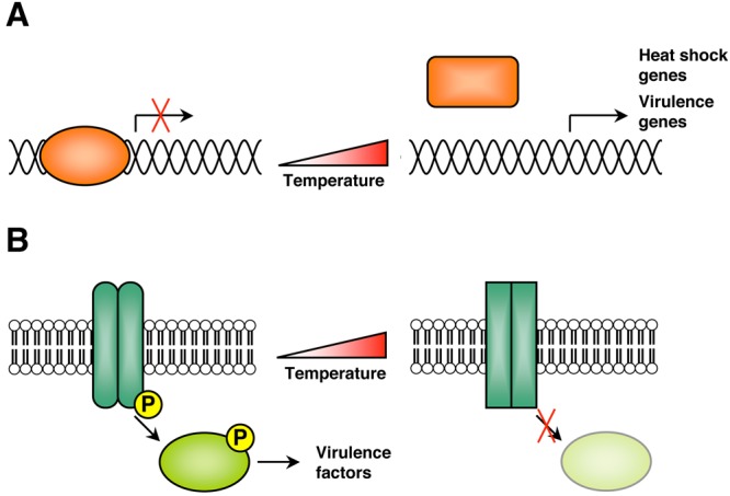 FIG 1 