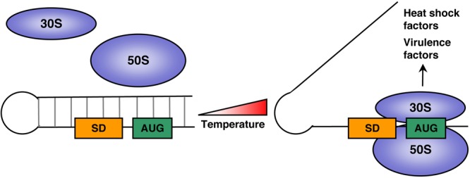 FIG 2 