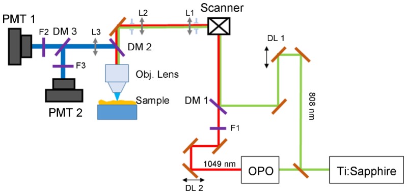 Fig. 1