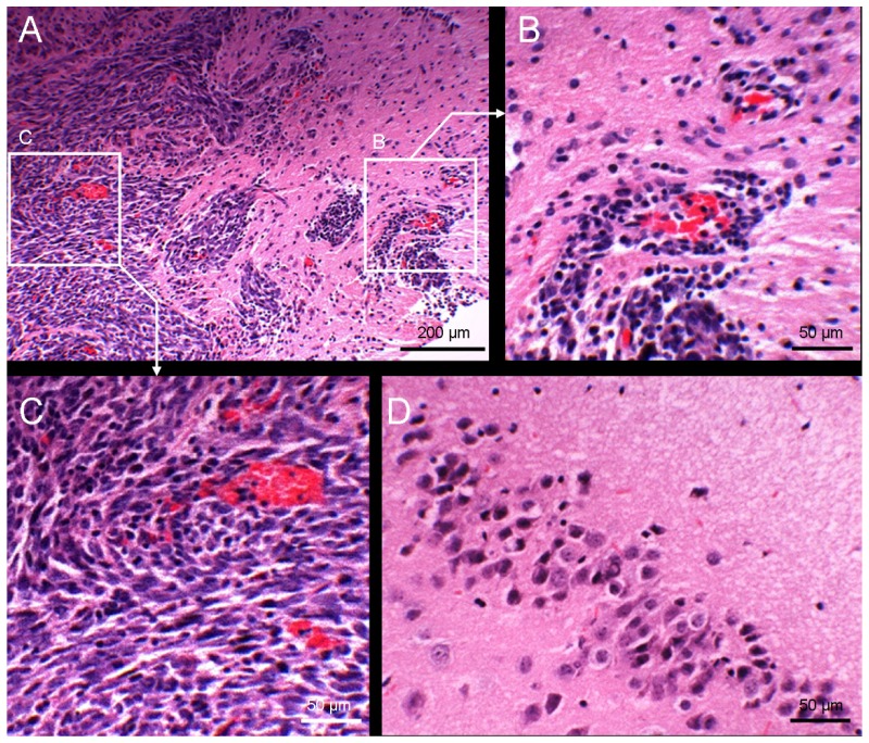 Fig. 6