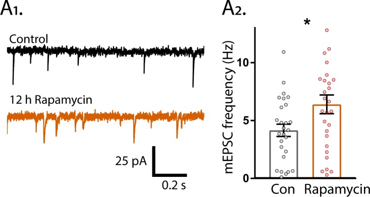 Figure 8—figure supplement 1.