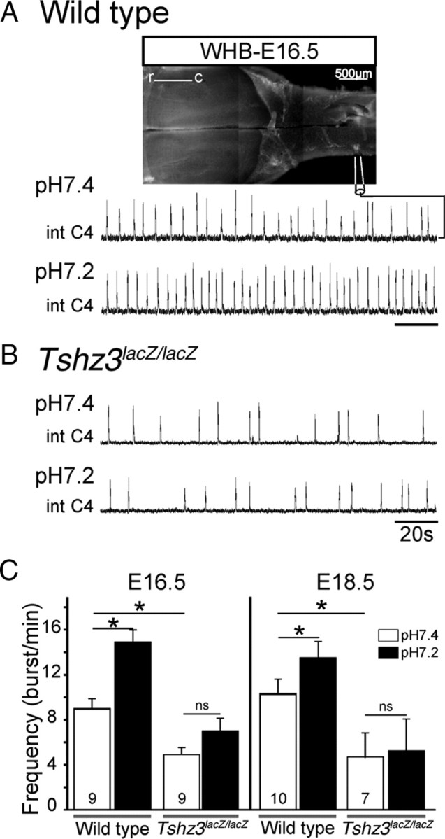 Figure 9.