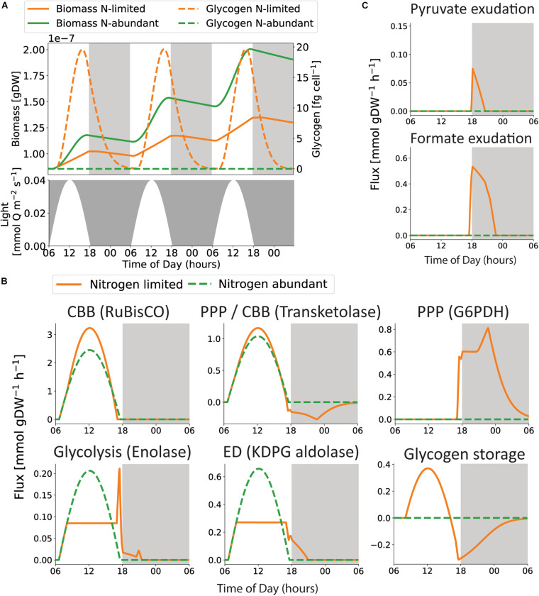 FIGURE 6