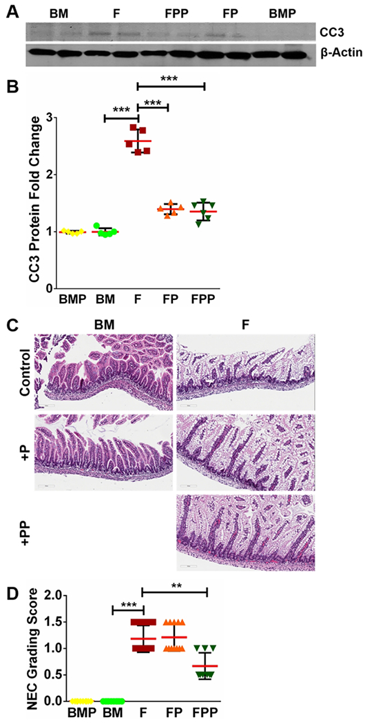 Fig 2.