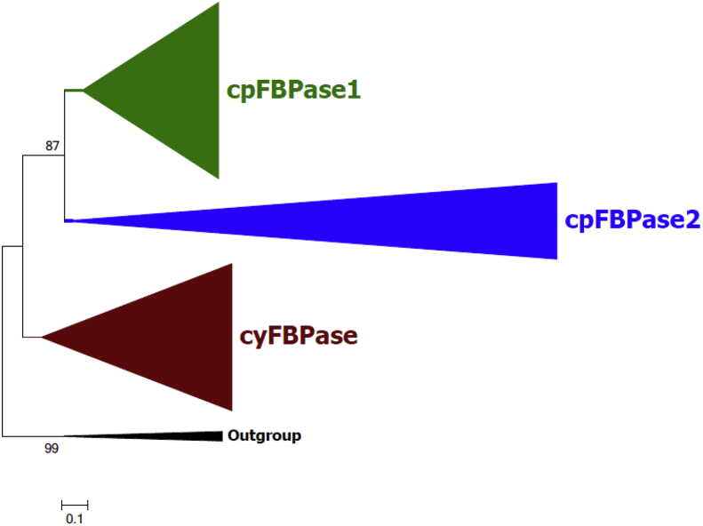 Fig. 2