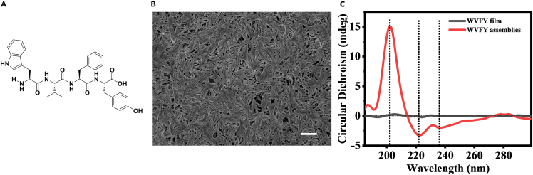 Figure 3