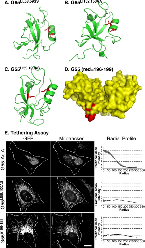 FIGURE 3.