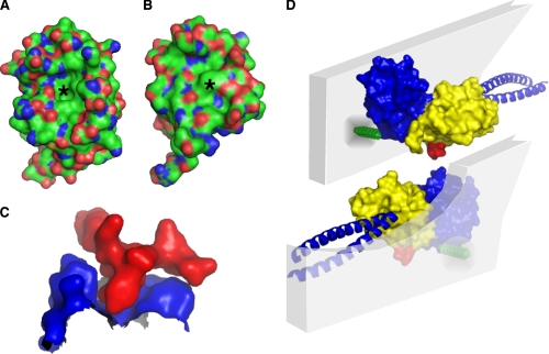 FIGURE 4.