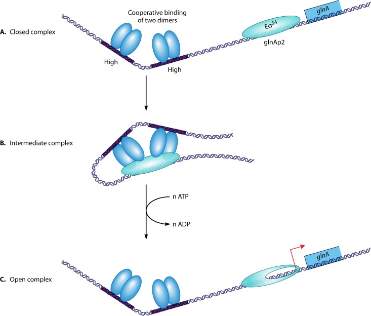 Fig 9