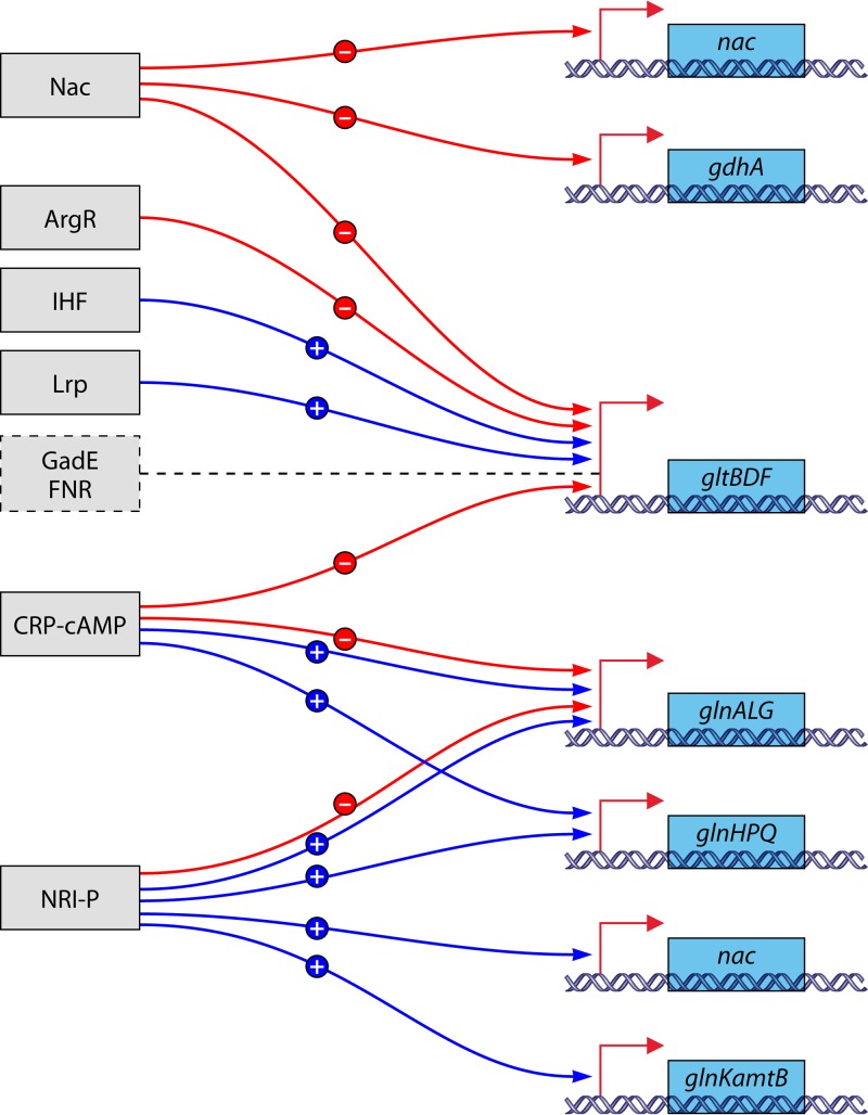 Fig 7