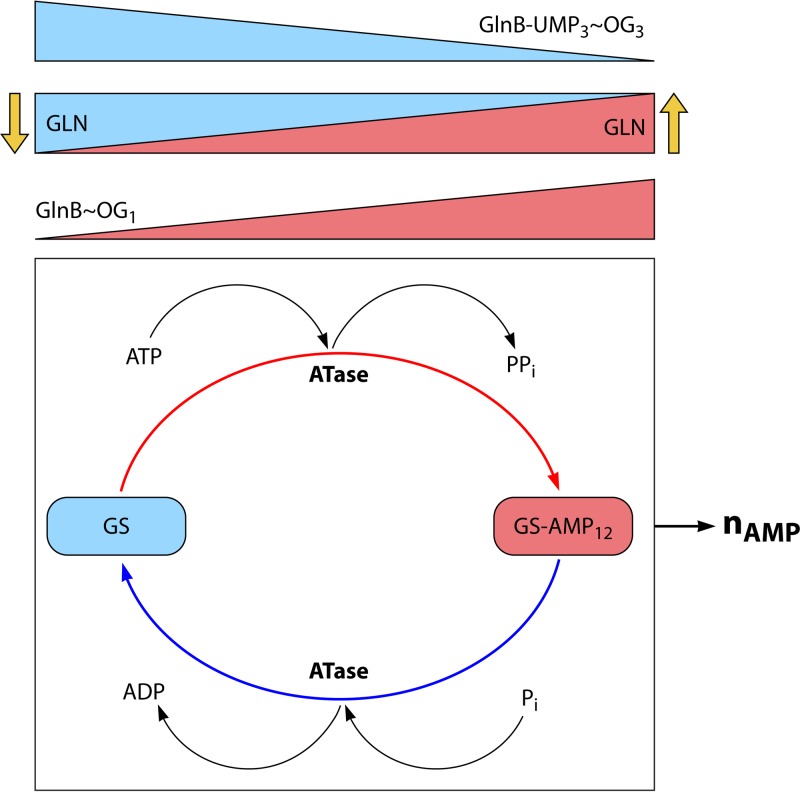 Fig 4