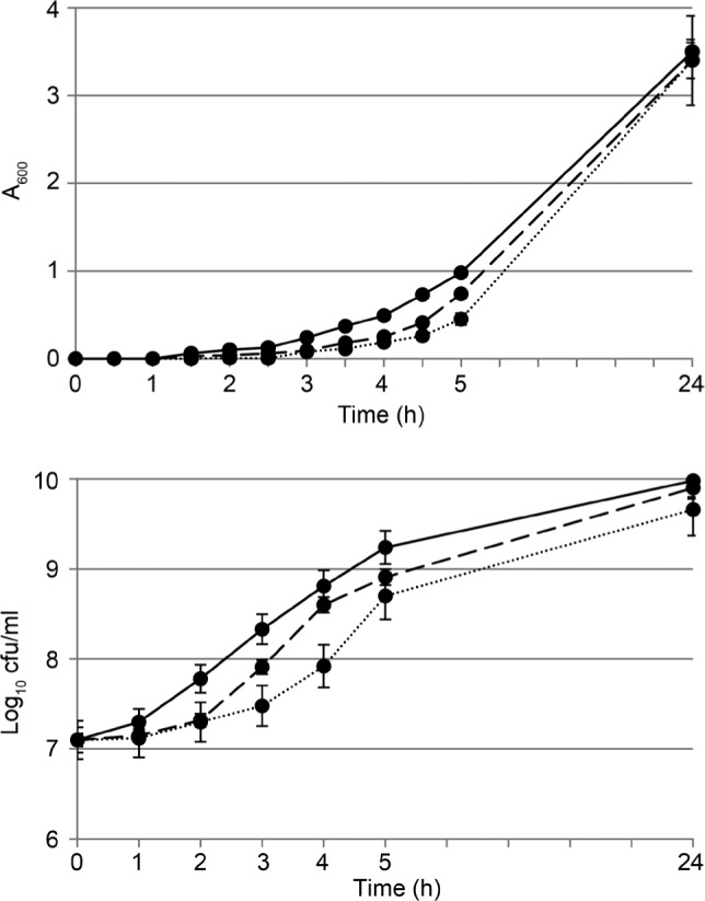 Fig. 1.