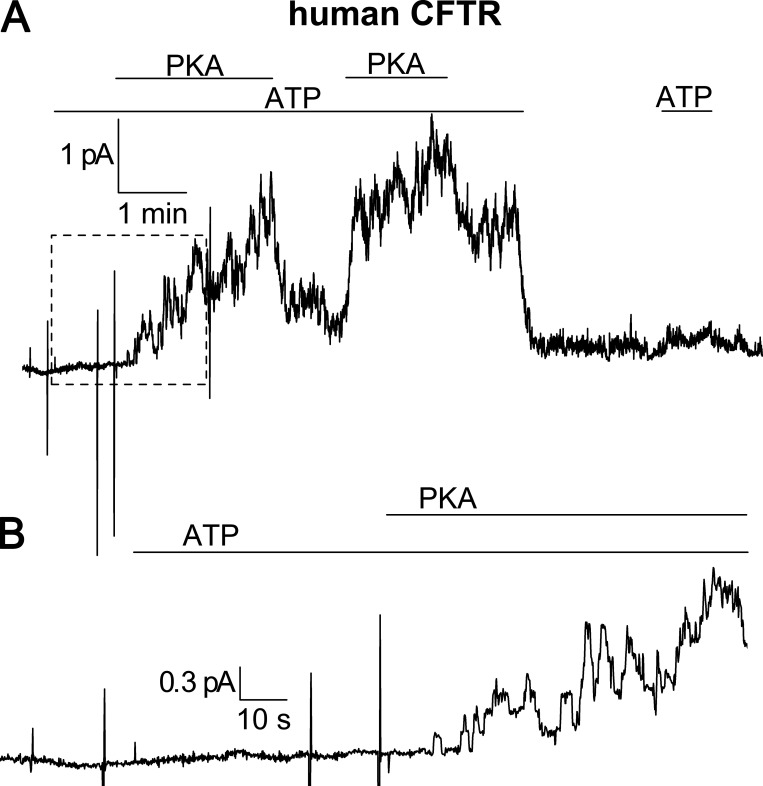 Figure S1.