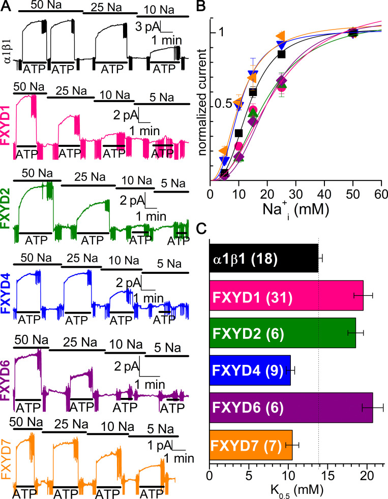 Figure 10.