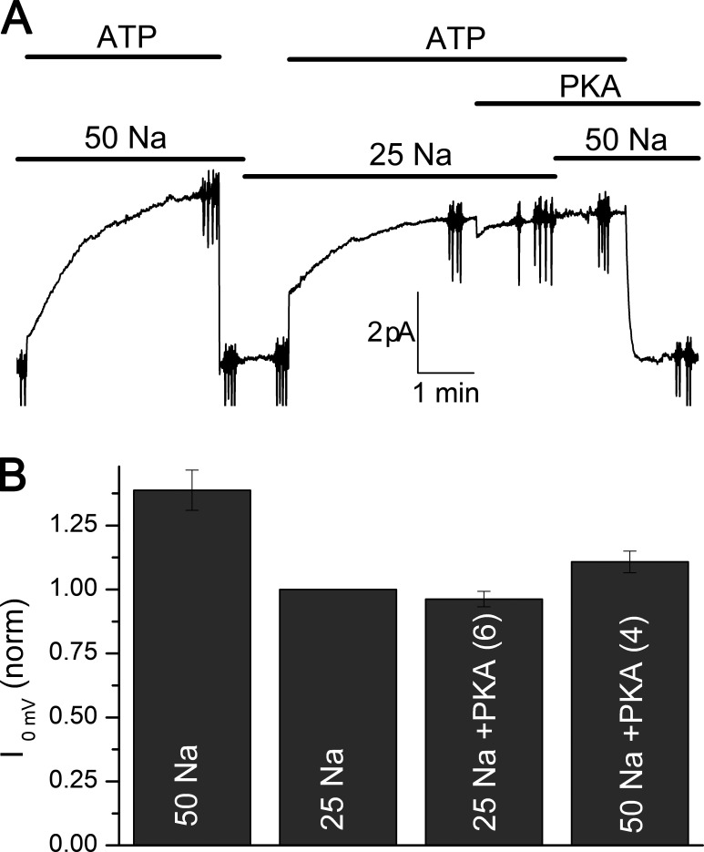 Figure 11.