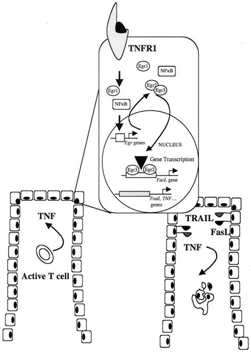 FIG. 10.