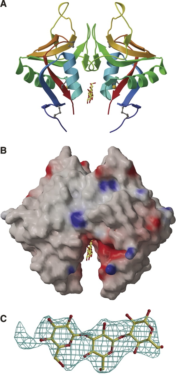 Figure 5.