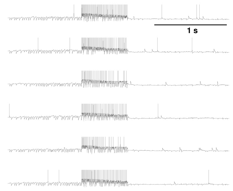 Fig. 3