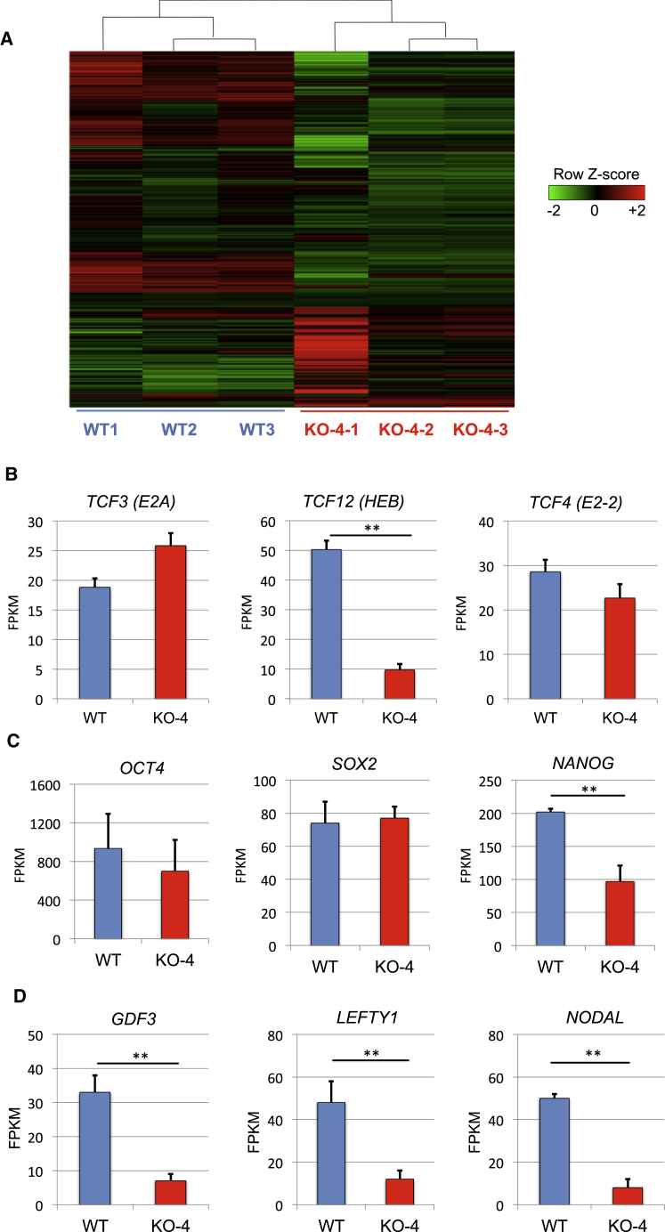 Figure 2