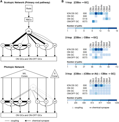 Figure 14.