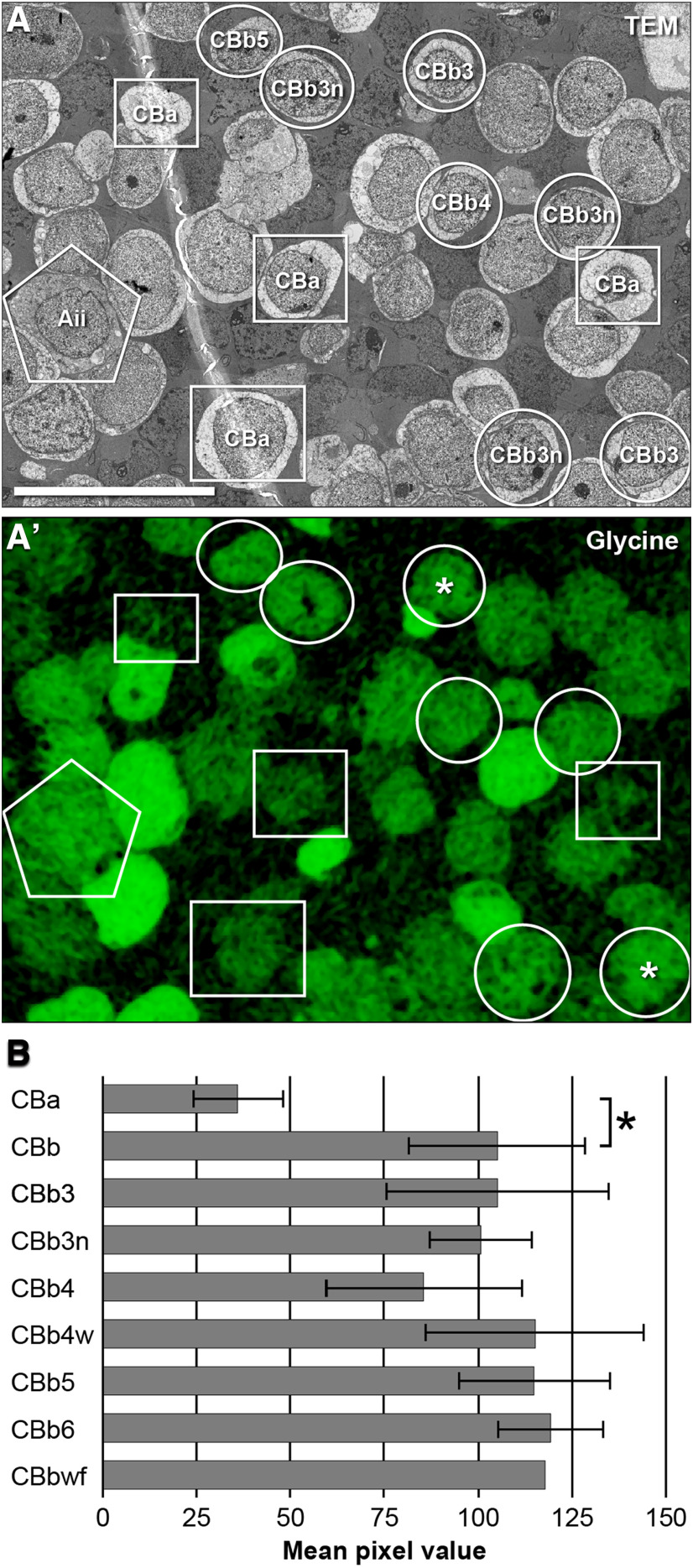 Figure 12.