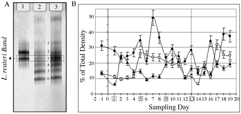 FIG. 7