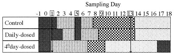 FIG. 6