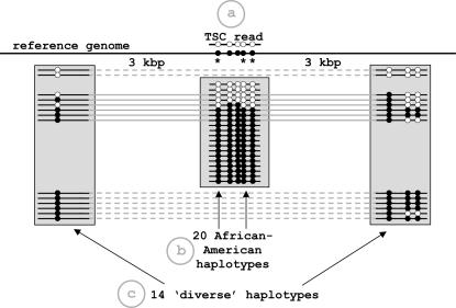 Figure 2.—