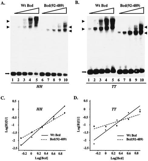 FIG. 6.