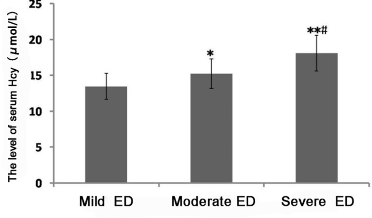 Fig. 3: