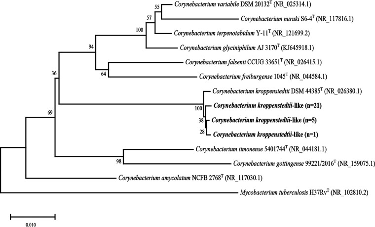 FIG 2