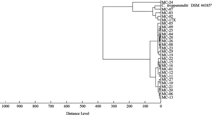FIG 1