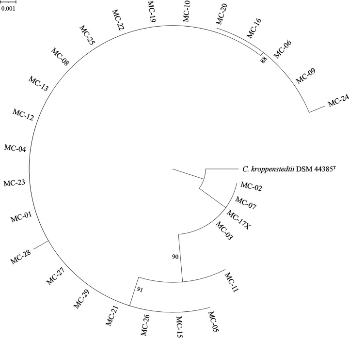 FIG 3