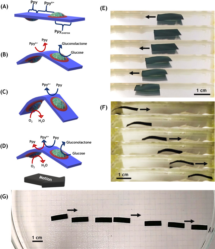 Fig. 3