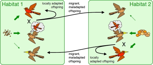 Fig. 8