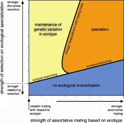 Fig. 7