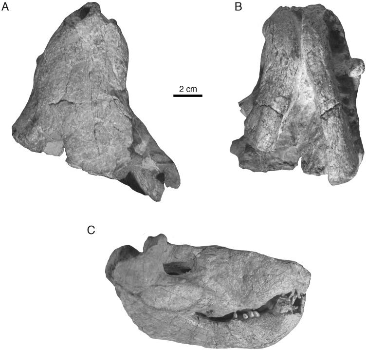 Figure 2