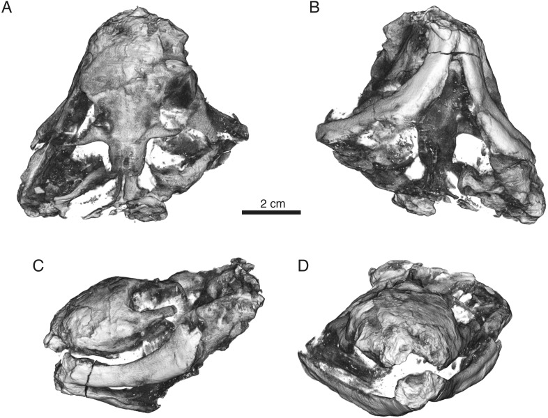 Figure 7