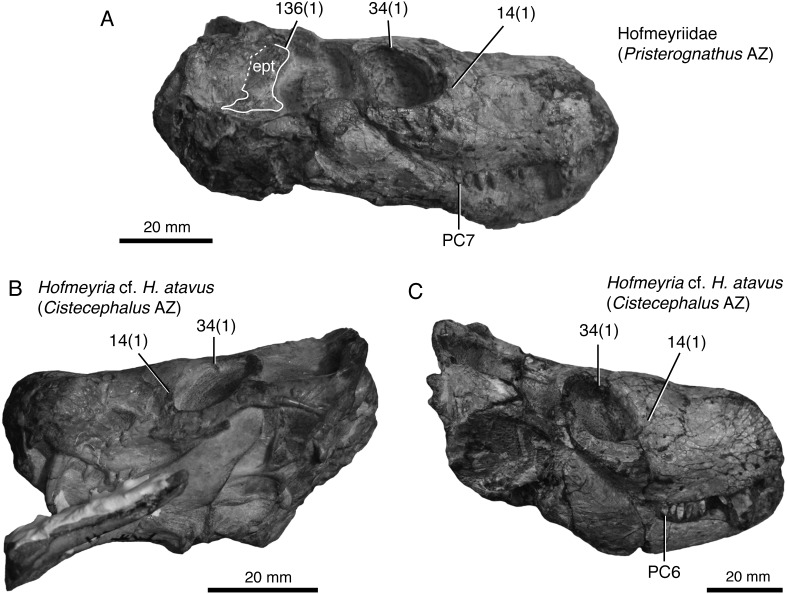 Figure 12