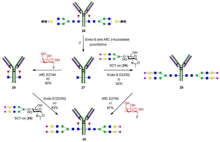 Scheme 5