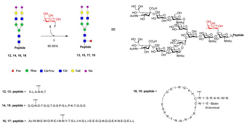 Scheme 3