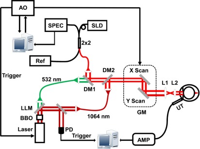 Fig. 1