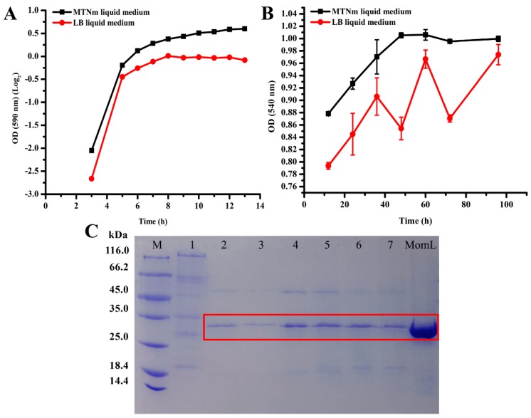 Figure 7