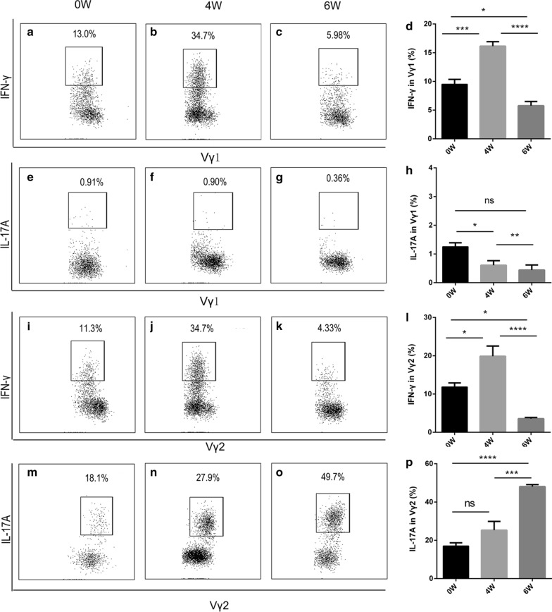 Fig. 2