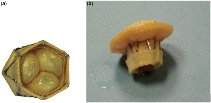 Figure 1: