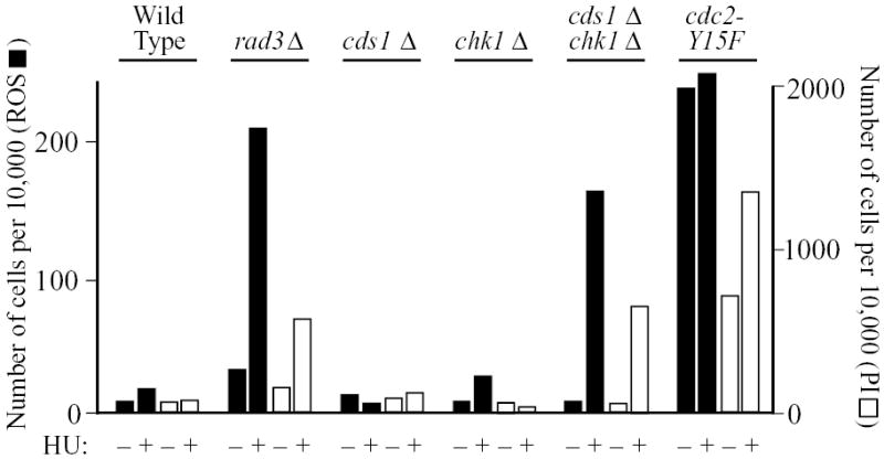 Fig. 8