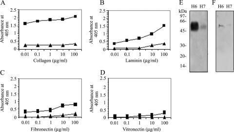 FIG. 6.